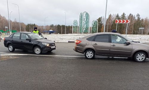 В ходе операции «Тоннель» спасские госавтоинспекторы проверили 56 автомобилей