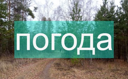 Погода на вторник 21 ноября