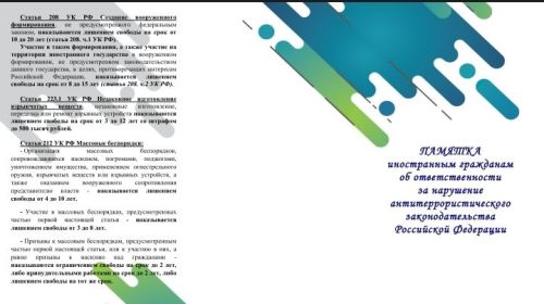 Негативная сущность этнической преступности