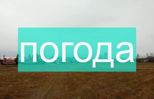 Погода на пятницу 10 ноября