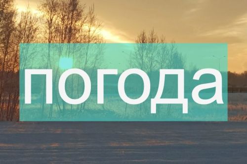 Погода на понедельник 11 декабря