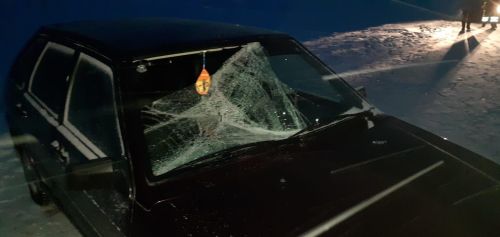 В Спасском районе совершён наезд на велосипедиста