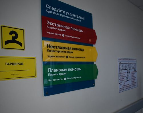 Врачи Спасской ЦРБ спасли пациента с тяжёлой стадией мышиной лихорадки