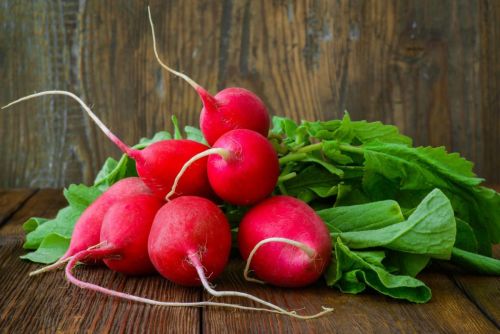 Как весной получить ранний урожай редиса и зелени?