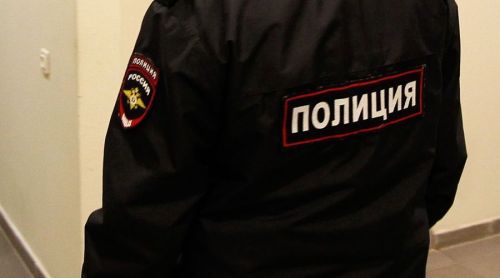 Жительница Спасского района совершила ложный вызов сотрудников полиции