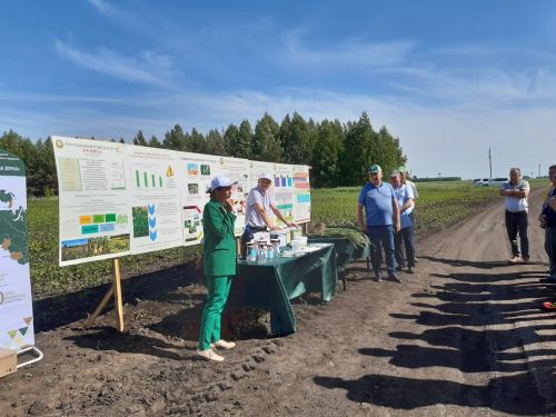В Спасском районе прошло семинар-совещание «Уход за посевами, формирование урожая, кормоуборка»