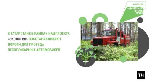В Татарстане в рамках национального проекта «Экология» строятся дороги для лесопожарной техники