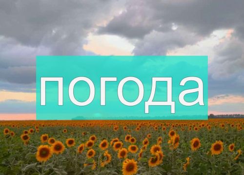 Погода в Спасском районе на субботу 22 июля
