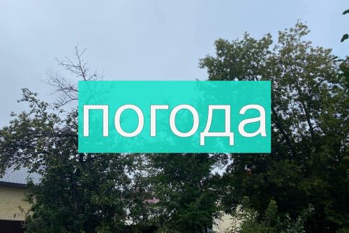 Погода на вторник 1 августа