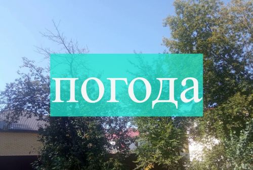 Погода на субботу 19 августа