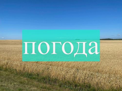 Погода на четверг 10 августа