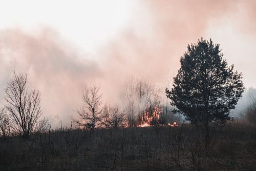 Россельхознадзор по РТ напоминает об опасности выжигания сухой травы