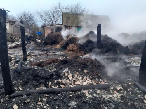 В Спасском районе Татарстана из-за пожара владелица осталась без хозпостроек и домашней птицы