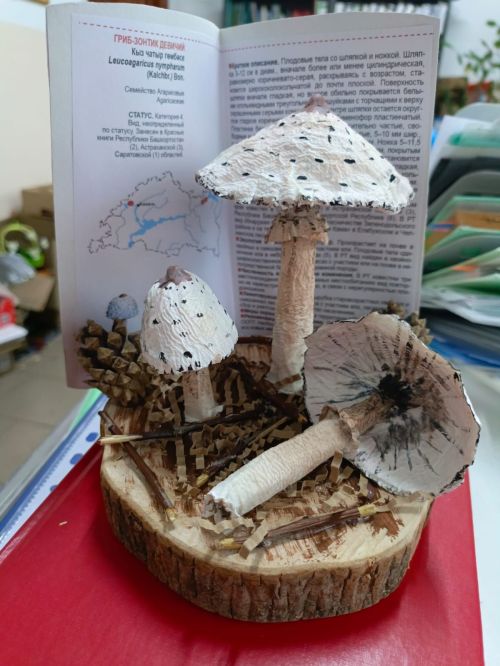 В Болгаре подвели итоги муниципального этапа конкурса «Я и Красная книга»