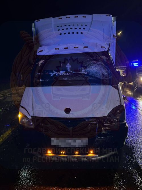 В Алексеевском районе Татарстана пешеход погиб при переходе дороги