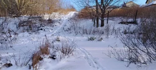 81-летнего провалившегося под лед пенсионера спасли в Татарстане