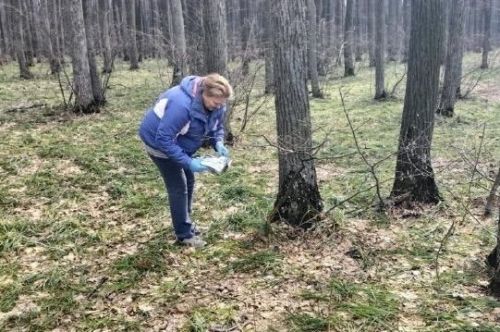 Спасское РГВО проводит масштабную вакцинацию диких животных против бешенства