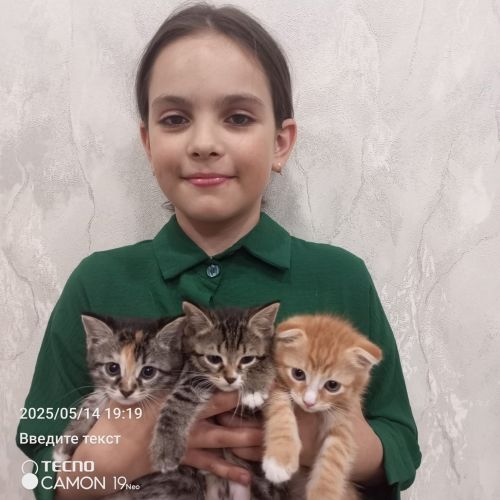 В Болгаре в средней школе №2 прошла акция «Зоозащита»