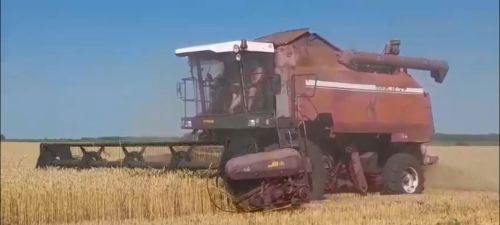 В Татарстане стартовала уборка озимых культур