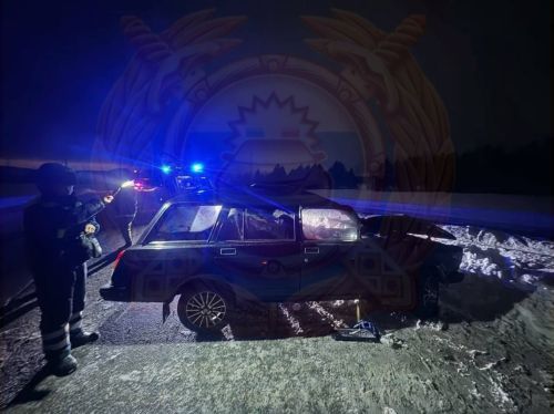 Водитель погиб в ДТП после наезда на теленка на трассе в Татарстане