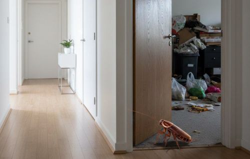 Эксперты Роспотребнадзора объяснили, как заставить соседа по дому убираться
