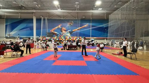 Юные каратисты из Болгара завоевали 10 медалей на чемпионате Татарстана в Казани