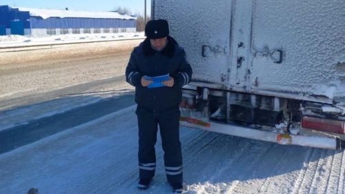 Эпизоотическая обстановка по болезням животных в Татарстане остаётся спокойной