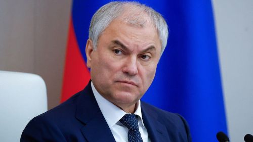 Председатель Госдумы Вячеслав Володин анонсировал новые правила для трудовых мигрантов