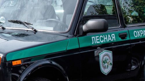 Пожароопасный сезон в лесах Татарстана начнется 15 апреля — на две недели позже обычного