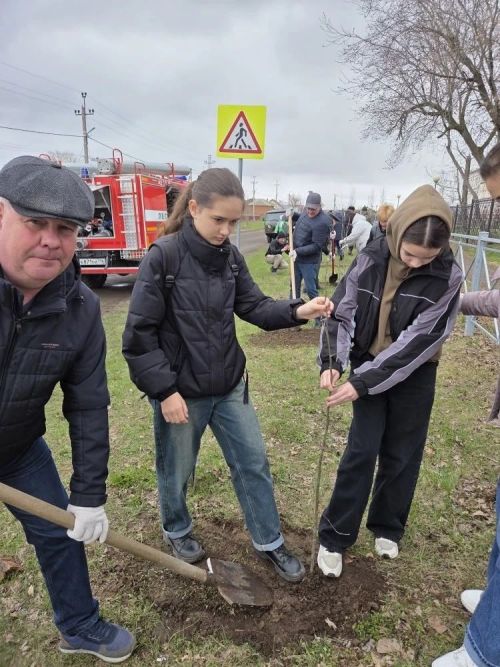 В Болгаре высадили деревья в память о жертвах Чернобыльской катастрофы