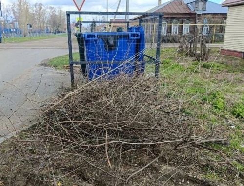 Жителям Спасского района напомнили, как правильно утилизировать ветки и не получить штраф
