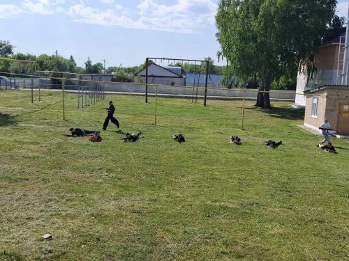 Восьмиклассники Спасского района прошли трёхдневные военно-полевые сборы