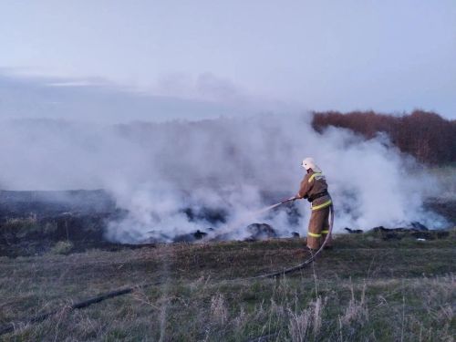 У села Гусиха в Спасском районе загорелась сухая трава