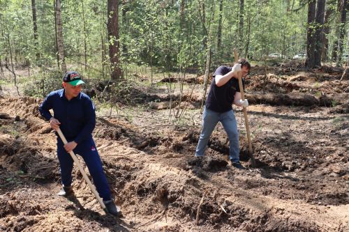 В Лаишевском районе появилась тысяча живых памятников героям войны