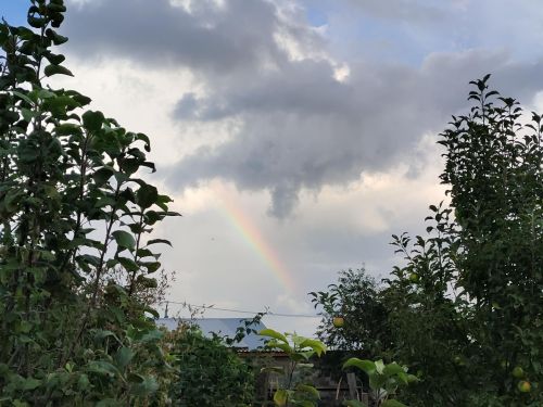 Митрофанов день 17 июня: почему нельзя обниматься и что делать для привлечения достатка