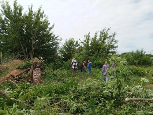 В Болгаре расчистили территорию от американского клёна