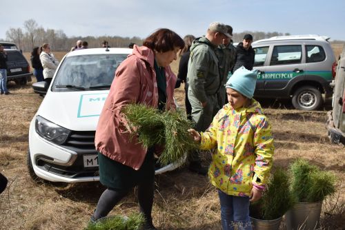 В Спасском районе дан старт акции «Сад памяти»