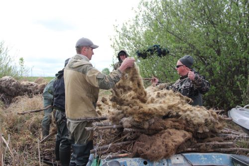 В акватории Волги в Спасском районе установили искусственные нерестилища
