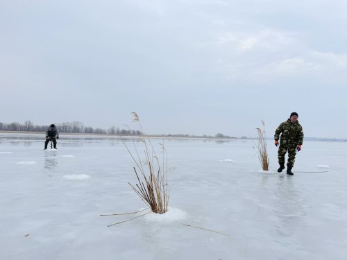 Акция "Рыбе – быть!" прошла в акватории Куйбышевского водохранилища в Спасском районе РТ