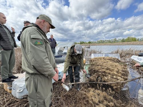 В Спасском районе РТ успешно выполнено госзадание по установке нерестилищ