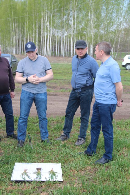 В Спасский район с рабочим визитом прибыл министр сельского хозяйства и продовольствия РТ Марат Зяббаров