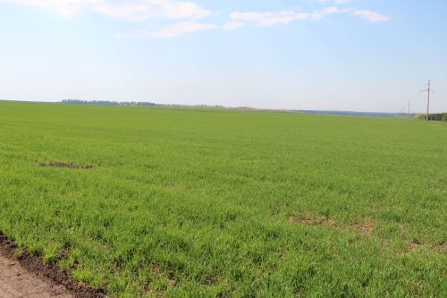 В Спасский район с рабочим визитом прибыл министр сельского хозяйства и продовольствия РТ Марат Зяббаров