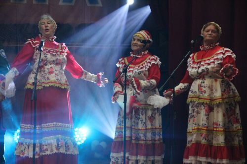 Фестиваль поисковой и военно-патриотической песни "Река Бездна- 2026" собрал на сцене Никольского СДК десятки артистов