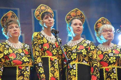 Фестиваль поисковой и военно-патриотической песни "Река Бездна- 2026" собрал на сцене Никольского СДК десятки артистов