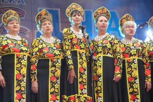 Фестиваль поисковой и военно-патриотической песни "Река Бездна- 2026" собрал на сцене Никольского СДК десятки артистов
