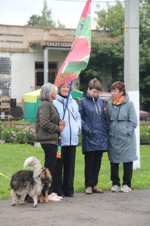 В селе Никольское состоялось открытие фестиваля поисковой и военно-патриотической песни "Река Бездна-2026"