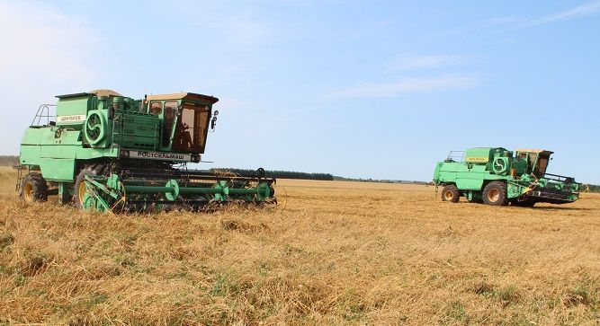 В Спасском районе приступили к обмолоту озимой пшеницы