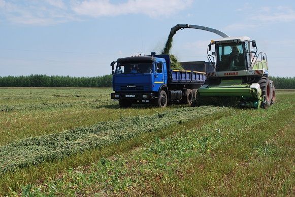 В Спасском районе продолжаются уборочные работы