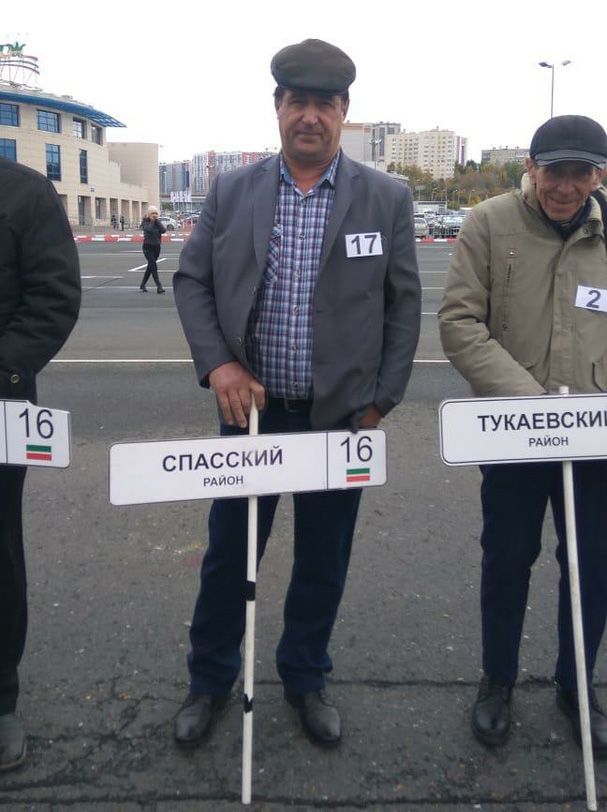 Золин – оста йөртүче