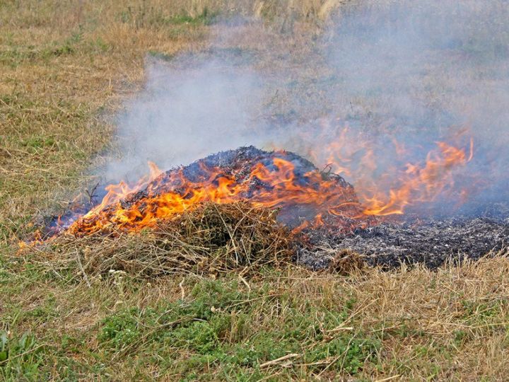 Спас районында коры үлән яну очраклары теркәлде